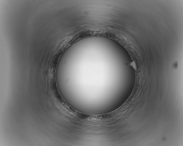 X0000090700756200707200928