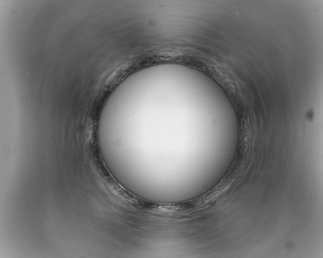 X0000090700758200707200928
