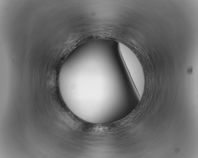 X0000090700760200707200928