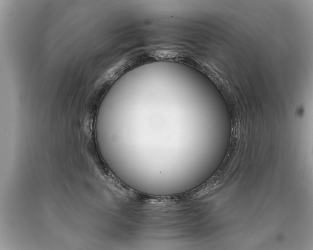 X0000090700763200707200929