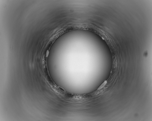 X0000090700764200707200929