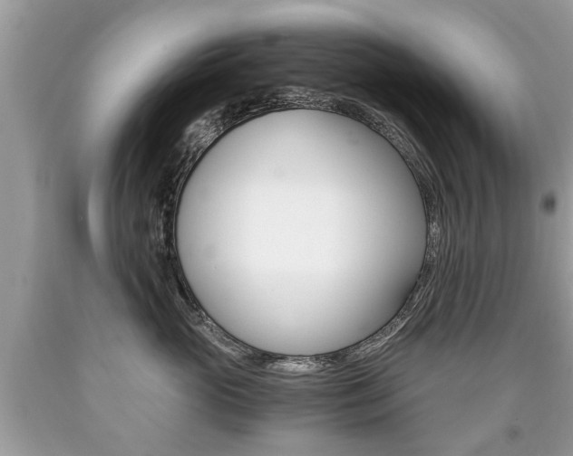 X0000090700765200707200929