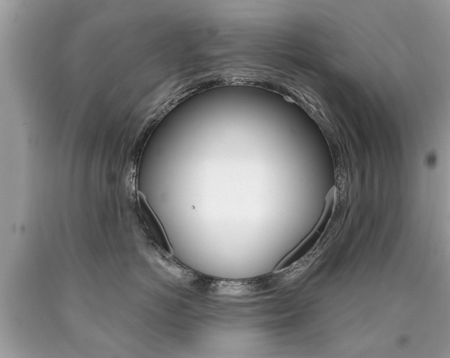 X0000090700766200707200929