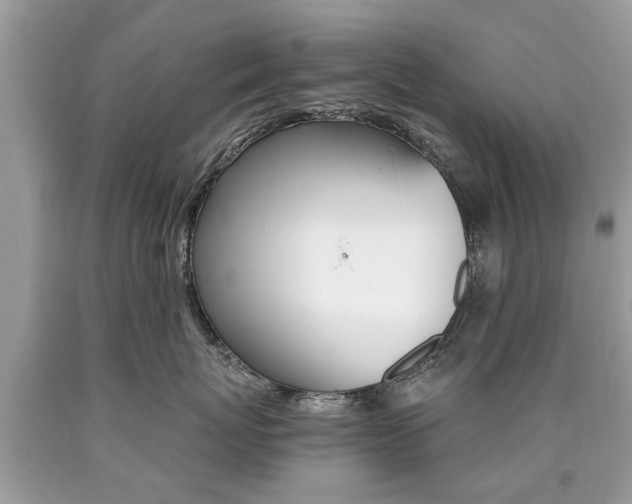 X0000090700767200707200929
