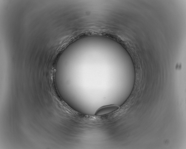 X0000090700768200707200929