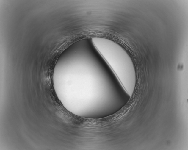 X0000090700771200707200928