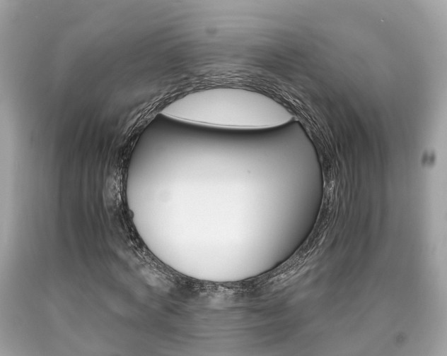 X0000090700772200707200928