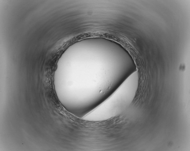 X0000090700773200707200928