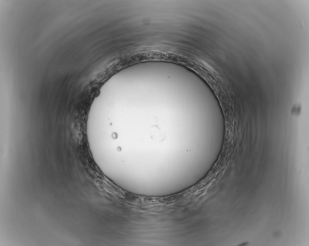 X0000090700774200707200928
