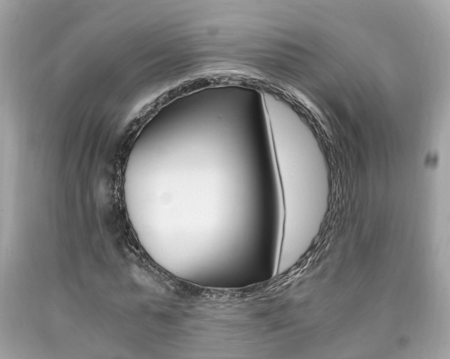 X0000090700775200707200928