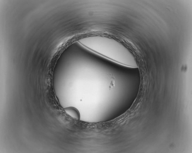 X0000090700776200707200928