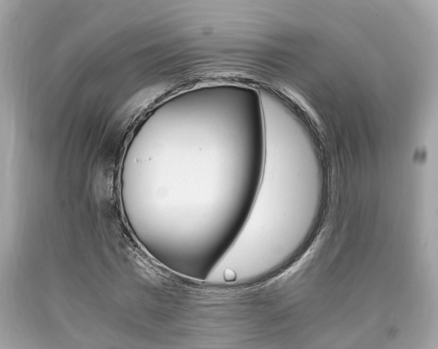 X0000090700777200707200928
