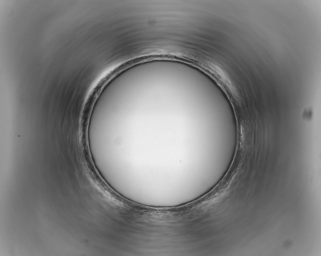 X0000090700780200707200928