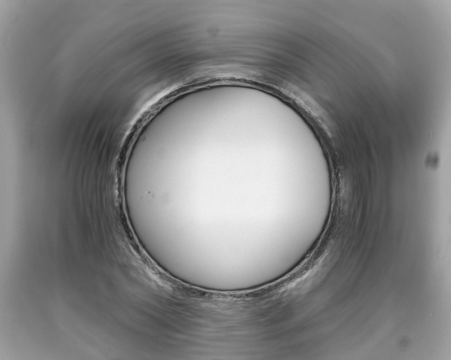 X0000090700782200707200928