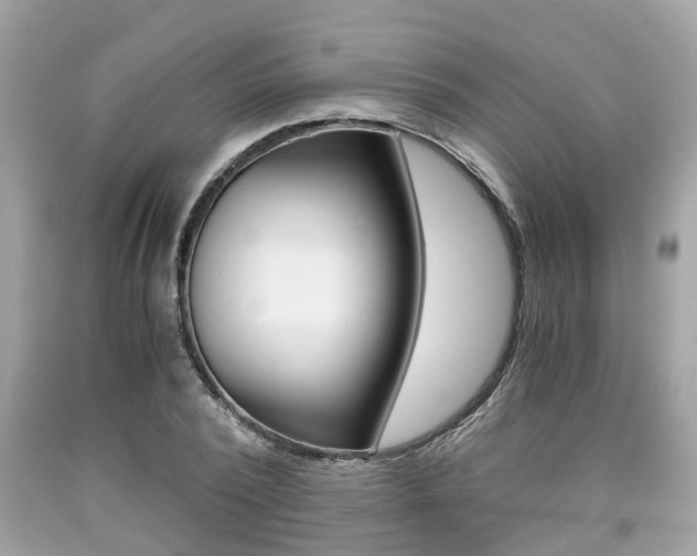 X0000090700784200707200928