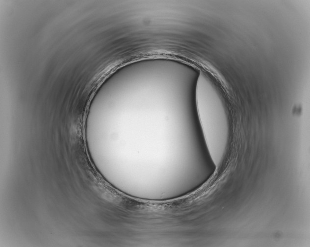 X0000090700785200707200928