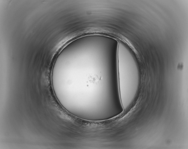 X0000090700786200707200928