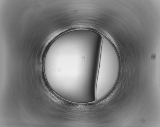 X0000090700787200707200927