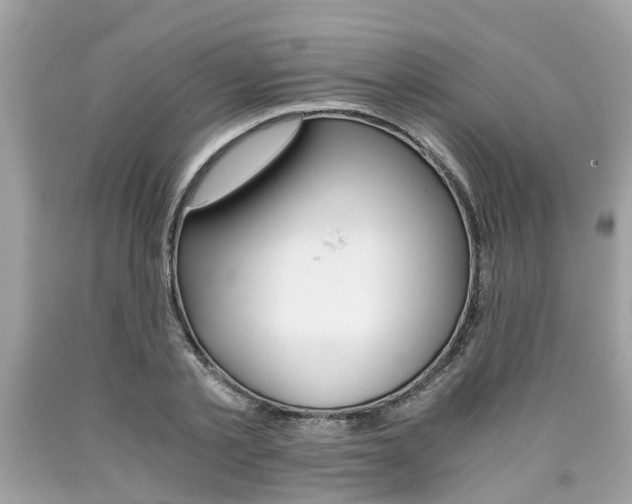 X0000090700789200707200927