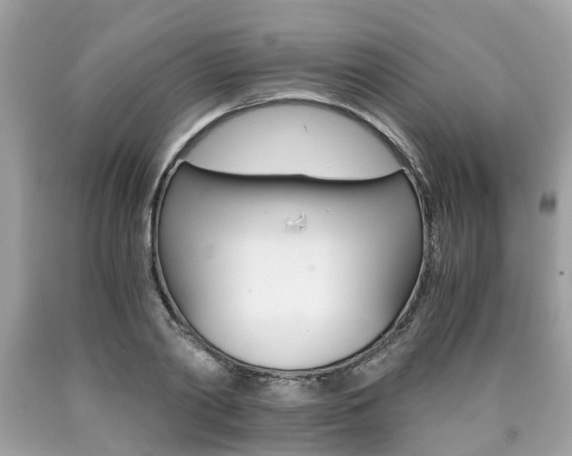 X0000090700790200707200927