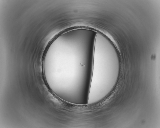 X0000090700791200707200927