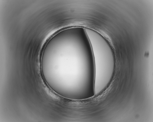 X0000090700792200707200927