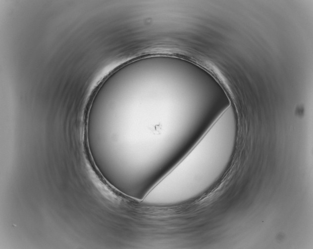 X0000090700795200707200927