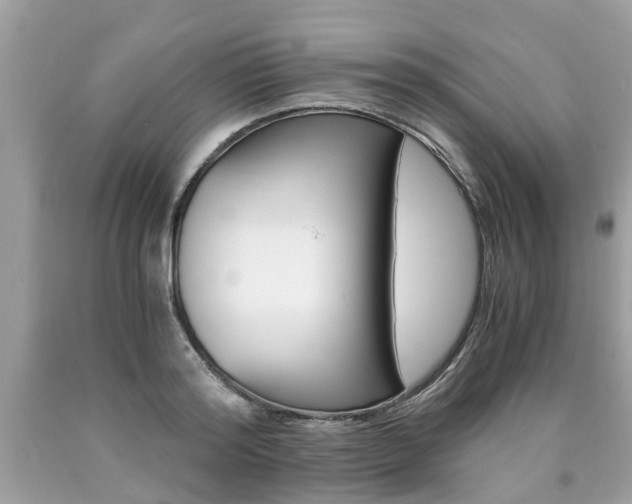 X0000090700796200707200927