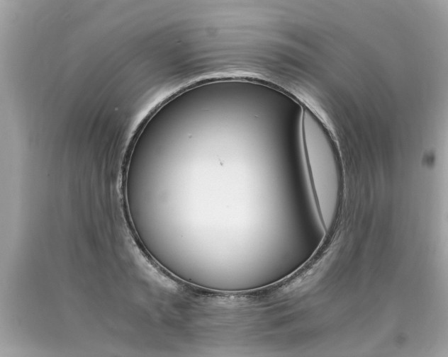 X0000090700797200707200927