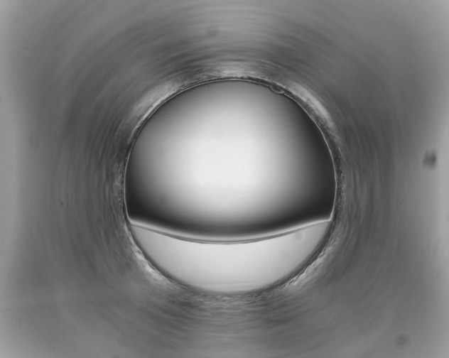 X0000090700801200707200927