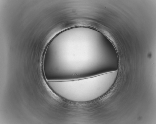 X0000090700803200707200927