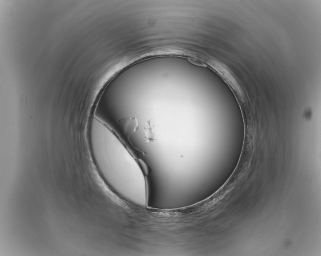 X0000090700805200707200927