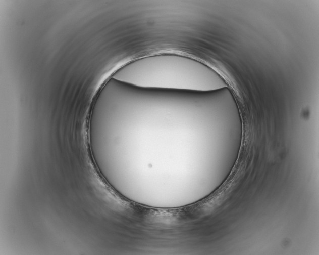 X0000090700806200707200927