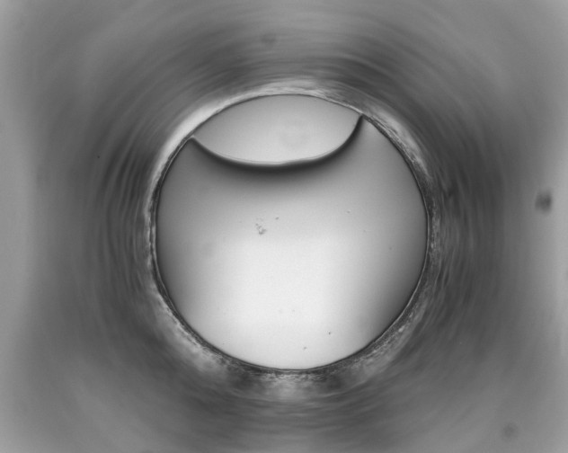 X0000090700808200707200927