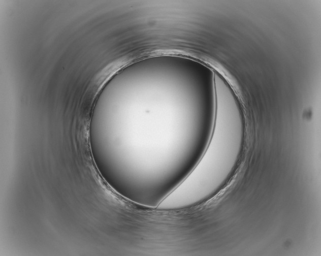 X0000090700809200707200927