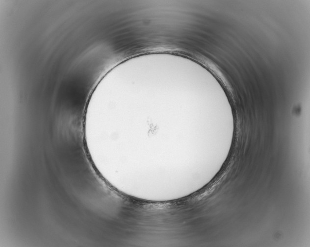X0000090700810200707200927