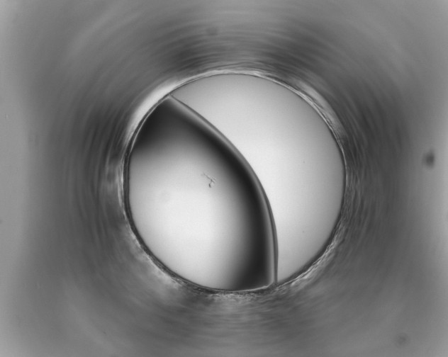 X0000090700812200707200927
