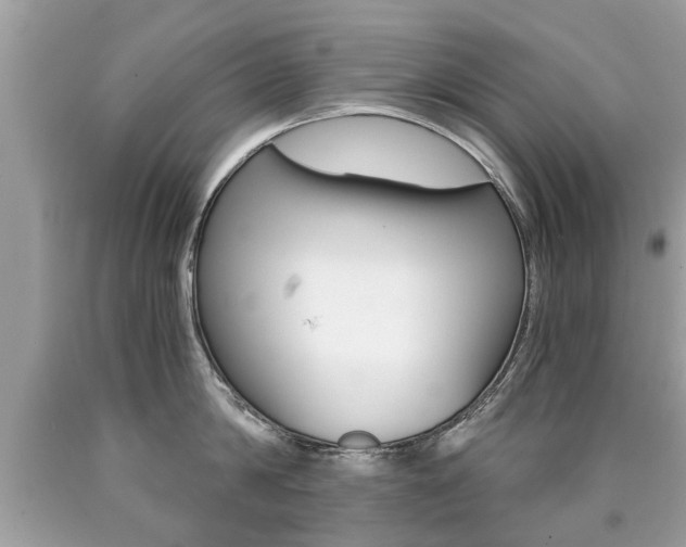 X0000090700814200707200927