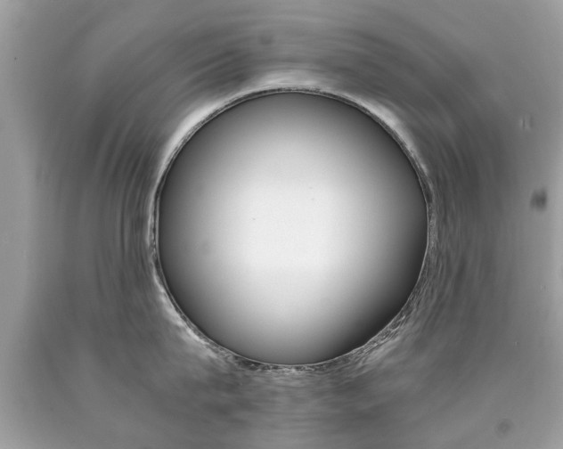 X0000090700815200707200927