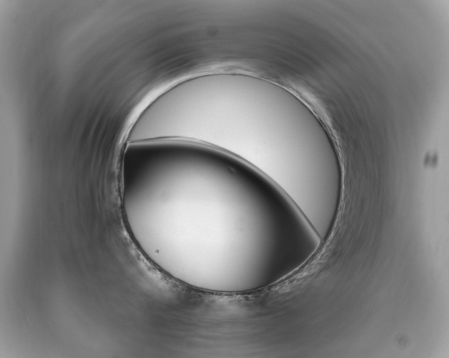 X0000090700816200707200927
