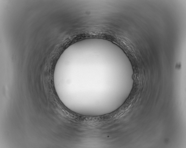X0000090700817200707200926