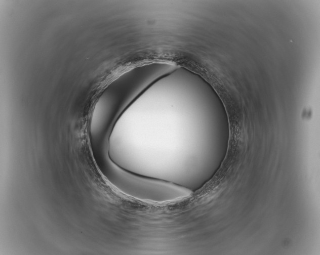 X0000090700818200707200926