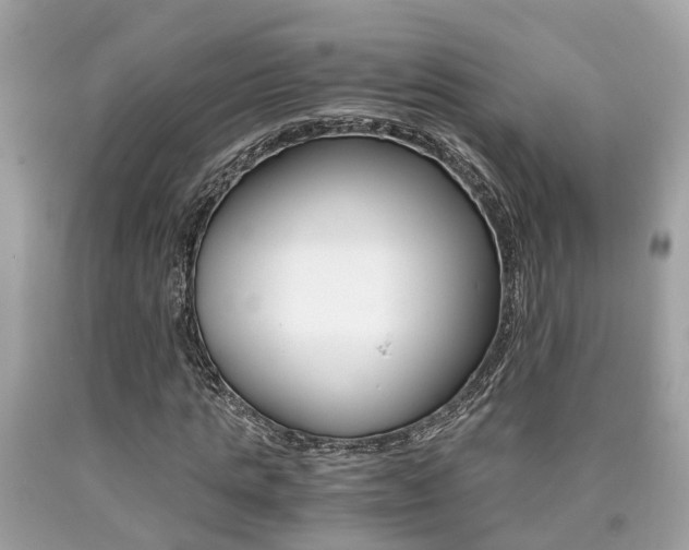 X0000090700821200707200926