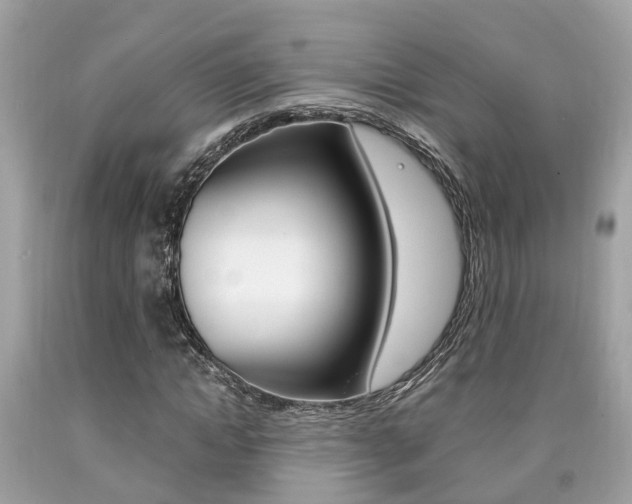 X0000090700822200707200926
