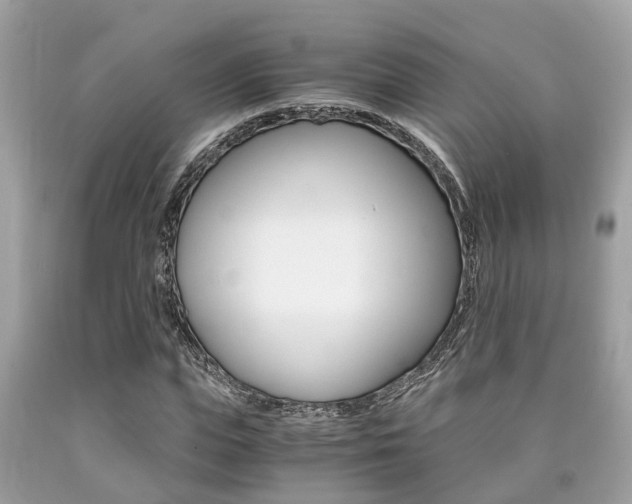 X0000090700823200707200926