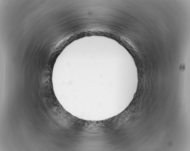 X0000090700824200707200927