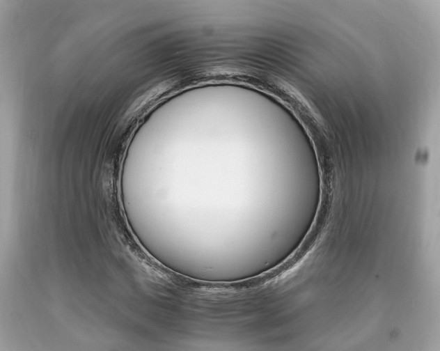 X0000090700825200707200927