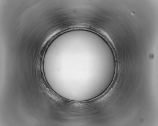 X0000090700827200707200927