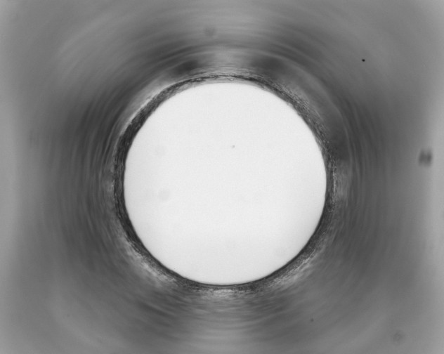 X0000090700828200707200927