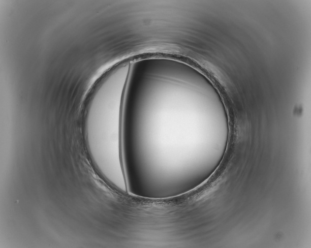 X0000090700830200707200927